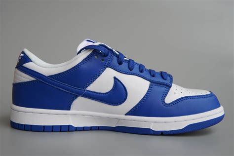 nike dunks herren blau